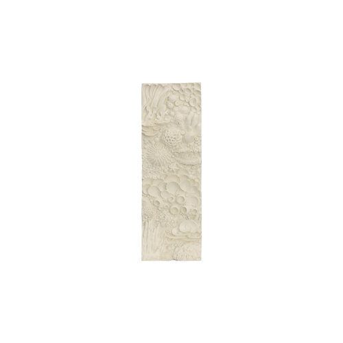 Phillips Collection Coral Reef Wall Decor Wayfair